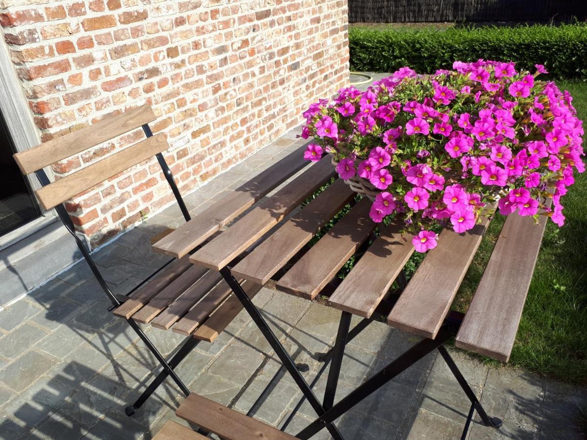 B&B 'T Hoveke Wingene Esterno foto
