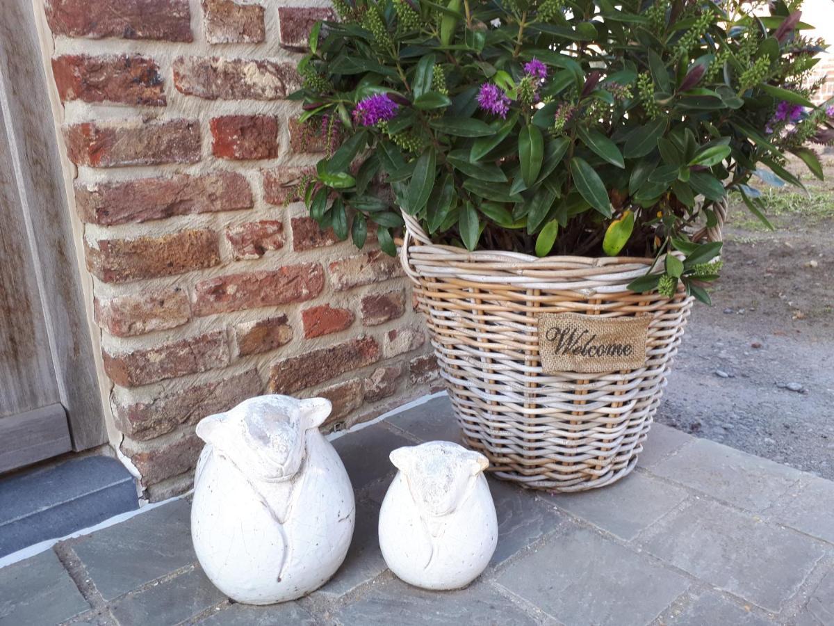B&B 'T Hoveke Wingene Esterno foto