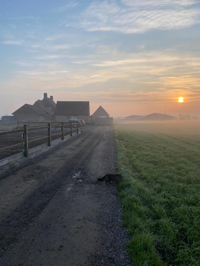 B&B 'T Hoveke Wingene Esterno foto